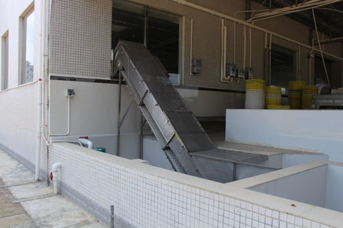 Convoyeur à bande - ZD-YL 3500 - Shrimp Machine - à bande grillagée / élévateur / pour poisson