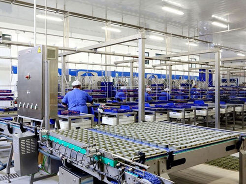Système d'alimentation de canettes - Hermasa - Cannin Technology - pour récipient vide