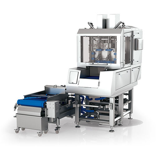 Injecteur de saumure pour poisson - PI, MC2R PI series  - Günther Maschinenbau GmbH - pour viande / pour fromage