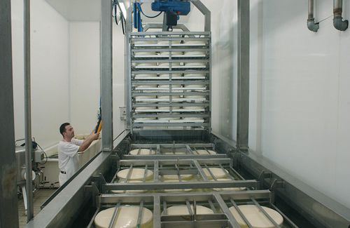 Machine de salage de fromage dynamique - PRIAMO FOOD TECHNOLOGIES