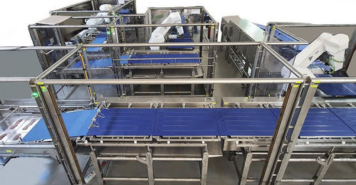 Machine de roulage de filets - ELCAT FOOD TECHNOLOGY