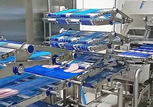 Machine d'emballage par recouvrement - ELCAT FOOD TECHNOLOGY - automatique / à mouvement continu / pour produits alimentaires
