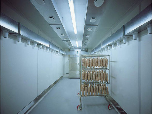 Système de séchage continu - AV  - FRIGO IMPIANTI - pour l'industrie agroalimentaire / pour circuit frigorifique
