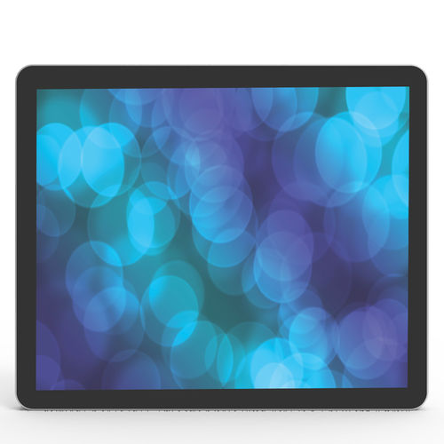 Panel PC TFT LCD - DS120E - Shenzhen ZhengYuanTai Technology,Co,.Ltd. - rétroéclairage à LED / à écran tactile capacitif PCAP / 12.1"