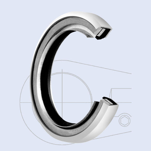 Joint racleur - A-EIS series - Hunger - en acier / en PTFE / BS