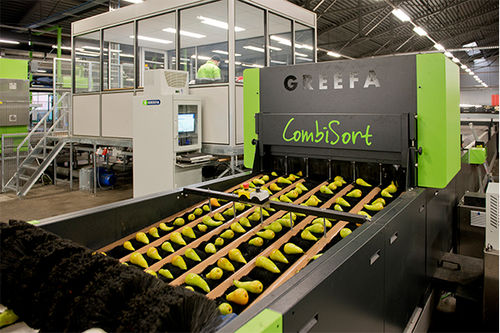 Machine de tri pour l'industrie agroalimentaire - COMBISORT - Greefa - automatique / de fruits / pour légumes