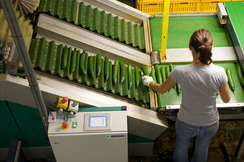 Machine de tri pour l'industrie agroalimentaire - QSORT - Greefa - automatique / de fruits / pour légumes