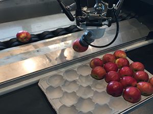 Ligne d'emballage complète pour multi produits - Greefa - automatique