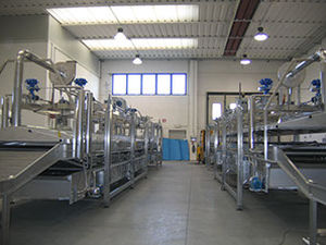 Cuiseur industriel continu - Food Tech S.r.l. - de pâtes / avec ligne de refroidissement / à immersion