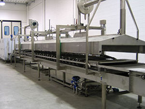 Ligne de production de pâtes fraîches - Food Tech S.r.l. - en forme de nid / avec refroidissement / pasteurisation