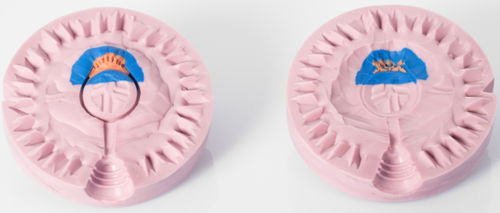 Silicone - A29TRRB   - NICEM