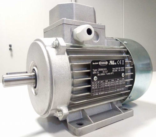 Moteur asynchrone - CR series - MOTORI BONORA SPA - triphasé / CEM / à rotor cage