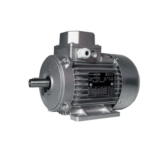 Moteur asynchrone - HE series - MOTORI BONORA SPA - triphasé / à rotor cage / IP55