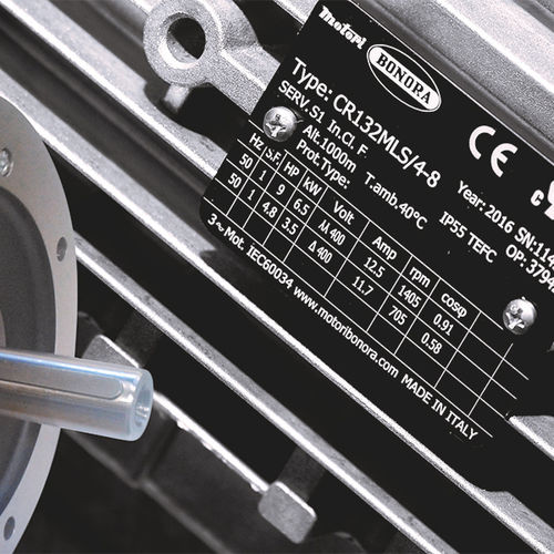 Moteur à induction - MOTORI BONORA SPA - AC / 400V / 4/8 pôles
