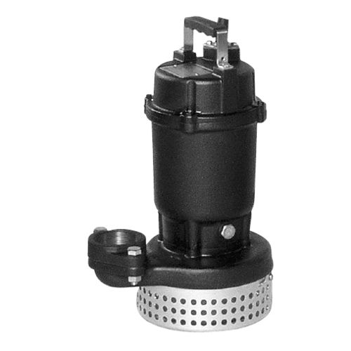 Pompe centrifuge - DS - EBARA PUMPS EUROPE - pour eaux claires / immergée / stationnaire