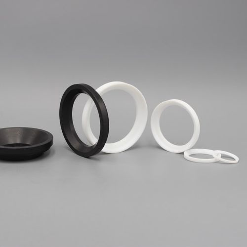 Joint pour vanne à boisseau sphérique - Dytron Advanced Materials Co., ltd - en PTFE / pour pompe / pour applications chimiques