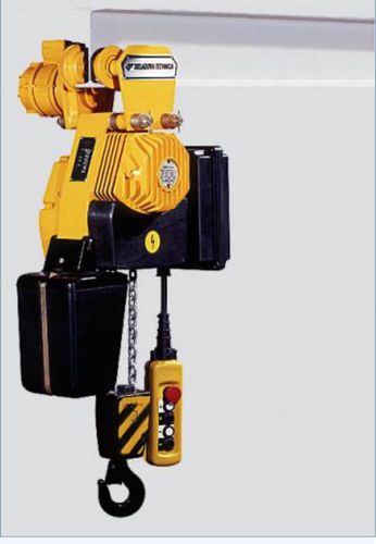 Palan électrique à chaîne - T BYC 104M 2 - Alexandria Crane Systems