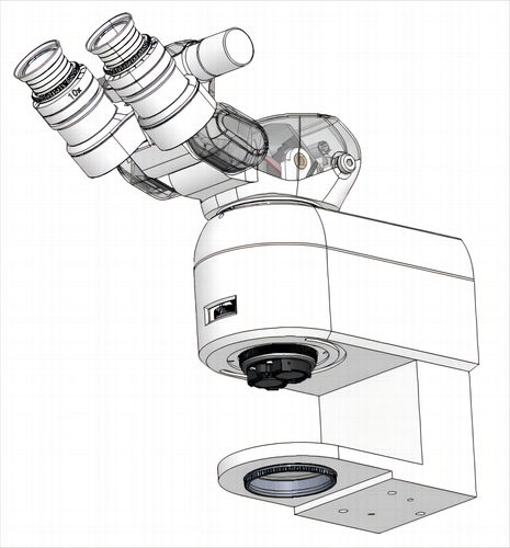 Microscope optique - Fujian RISING EO Technologies CO.,LTD - médical / binoculaire / à zoom