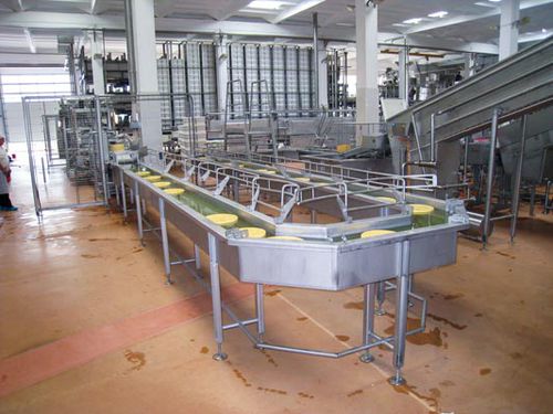 Machine de salage de fromage - CHALON MEGARD