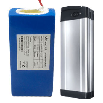Batterie rectangulaire - Phenix Optics Co., Ltd - pour véhicule électrique