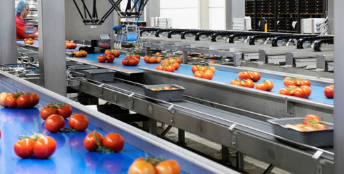 Machine de tri optique - Koppert Machines & Zonen B.V. - automatisée / pour tomates / robotisée