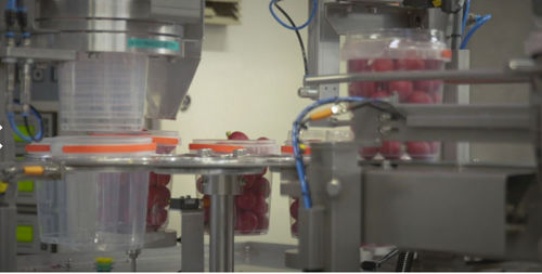 Machine de remplissage automatique - Koppert Machines & Zonen B.V. - de gobelets / pour produits alimentaires / pour l'industrie agroalimentaire