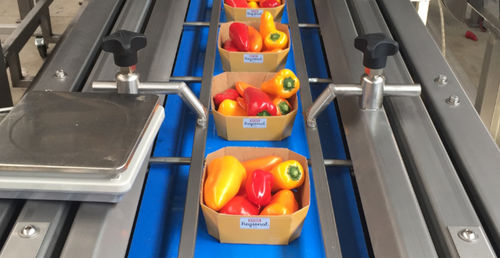 Machine de conditionnement automatique - Koppert Machines & Zonen B.V. - à mouvement continu / sous forme de ligne / pour produits alimentaires