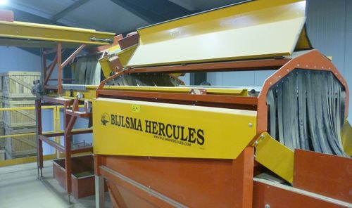 Machine de nettoyage agro-alimentaire à brosse - BBM 1710 - Bijlsma Hercules BV - d'oignons / de pommes de terre / avec convoyeur à bande