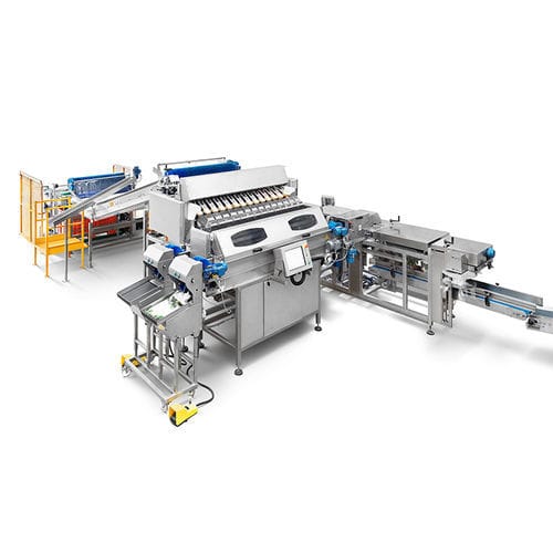 Peseuse linéaire - CALIBRA WEIGHER.F12 - CALIBRAFRUTA LDA - électronique / pour l'industrie agroalimentaire / en acier inoxydable