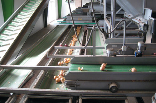 Convoyeur à bande - T series  - SKALS - flexible / de légumes