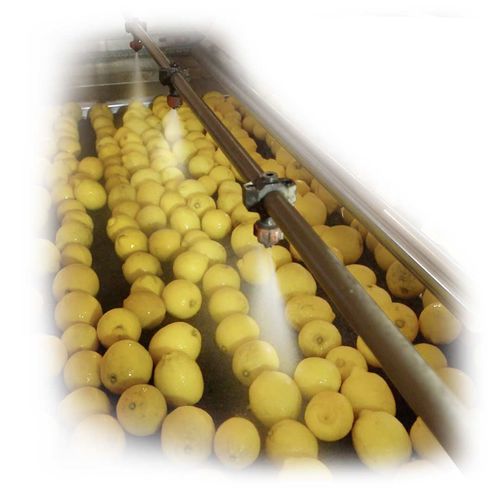 Ligne de pulvérisation pour fruits - LDT-T410 - Sorma S.p.A.
