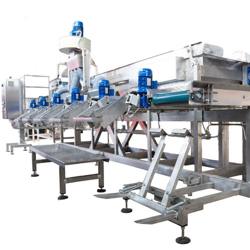 Calibreur pour légumes - Alutec Food CAMPESATO® - pour fruits / vibrant