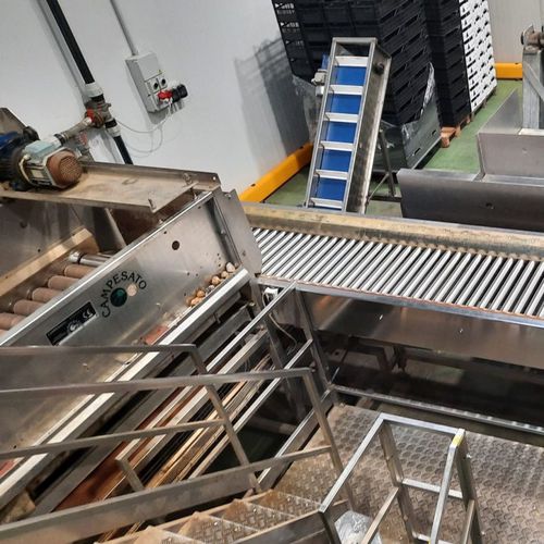 Ligne de transformation de pommes de terre - Alutec Food CAMPESATO®