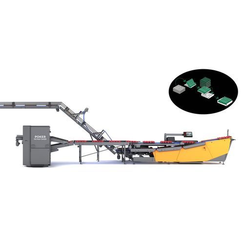 Ligne de conditionnement pour l'industrie agroalimentaire - Poker - FRUTMAC SRL - pour produits alimentaires / de plateaux / pour boîtes