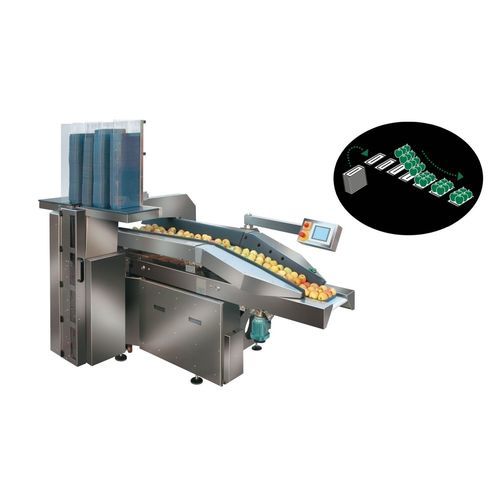 Système de remplissage de barquettes - Jollypack G5 - FRUTMAC SRL - automatique / pour produits alimentaires / pour l'industrie agroalimentaire