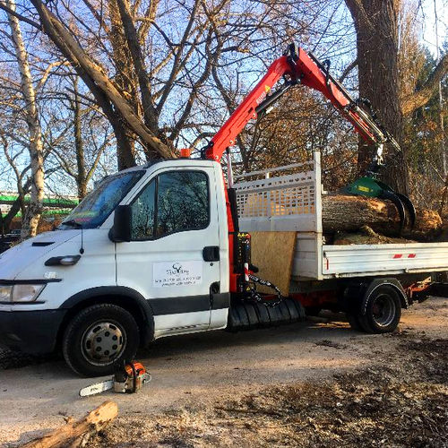 Grue montée sur camion - Befard - articulée / forestière