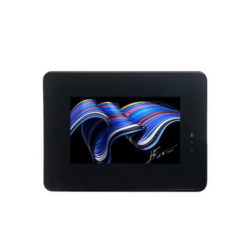 Module d'affichage TFT LCD - HDW043_A5001L - Beijing DWIN Technology Co., Ltd. - IPS / à écran tactile capacitif / à écran tactile multi-points