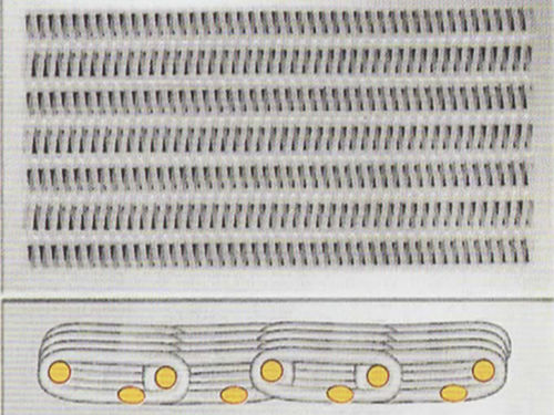 Tissu technique en polyester - Qinyang Aotian Machinery Manufacturing Co., Ltd.