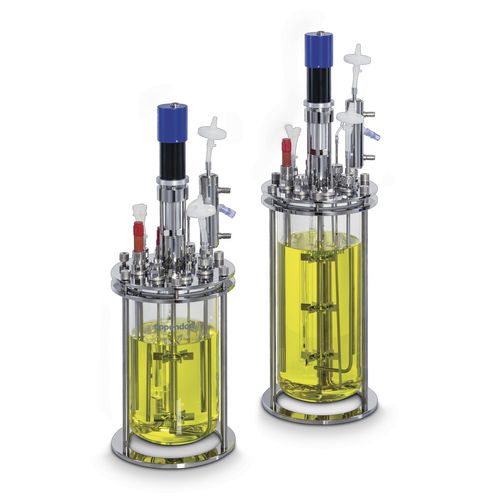 Bioréacteur de process - SciVario® - Eppendorf SE - de synthèse parallèle / de paillasse / avec thermostat