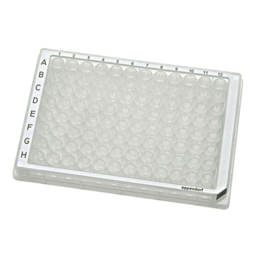 Microplaque à 384 puits - 00306 series - Eppendorf SE - à 96 puits / pour échantillon biologique