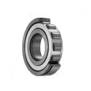 Roulement à rouleaux - Yuyao Bote Bearing Co., Ltd. - à aiguilles / radial / à une rangée
