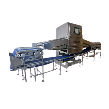 Système de scanning pour détection - FOTON-X 6040FP  - MSSPEKTRAL SAVUNMA SANAYİİ A.Ş. - à rayons X / pour l'industrie agroalimentaire