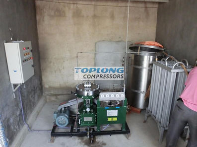 Compresseur à diaphragme - GL1-10/4-160 - Wenling Toplong Electrical & Mechanical Company - d'azote / à moteur électrique / stationnaire