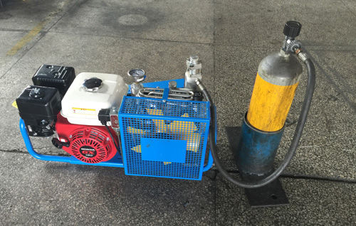 Compresseur d'air respirable - BX-10 series - Wenling Toplong Electrical & Mechanical Company - essence / portable / pour applications marines