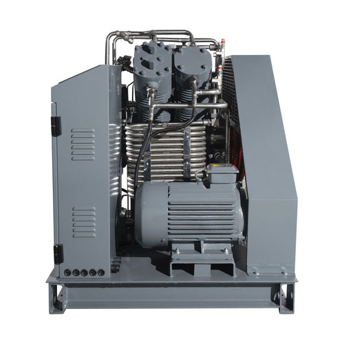 Groupe compresseur de gaz - G2VCW-10/0.2-200 - Wenling Toplong Electrical & Mechanical Company - à piston / sans huile / stationnaire