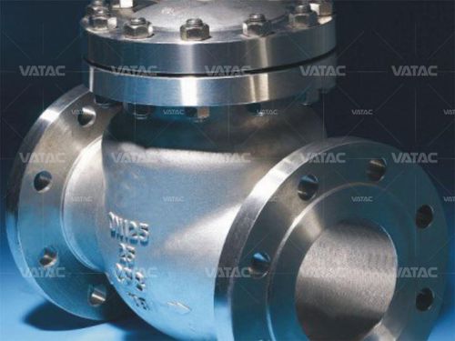 Clapet anti-retour à battant - Vatac Valves (Wenzhou) Corporation - à disque / à piston / en acier inoxydable