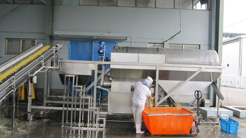 Laveuse de maïs - YXJ - SHAOXING WALLEY FOOD MACHINERY CO., LTD. - pour petits pois