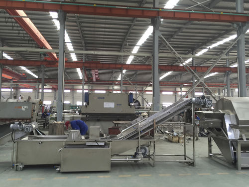 Laveuse agro-alimentaire à bande - QXJ-D - SHAOXING WALLEY FOOD MACHINERY CO., LTD. - pour champignons / pour concombres / pour fruits
