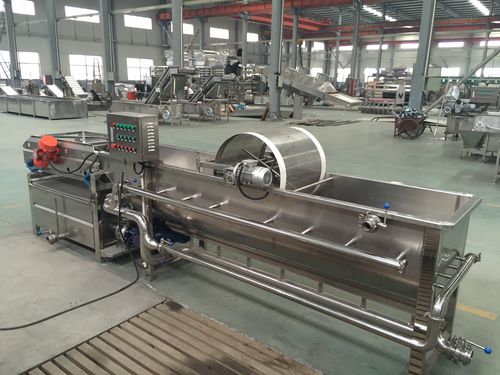 Laveuse de champignons - WXJ - SHAOXING WALLEY FOOD MACHINERY CO., LTD. - pour fraises