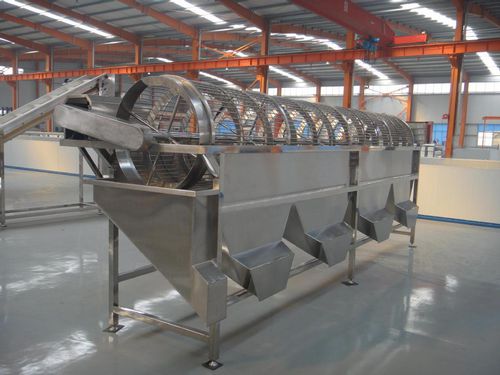 Calibreur pour champignons - OSJ-5 - SHAOXING WALLEY FOOD MACHINERY CO., LTD. - de litchis / de longanes / de taros